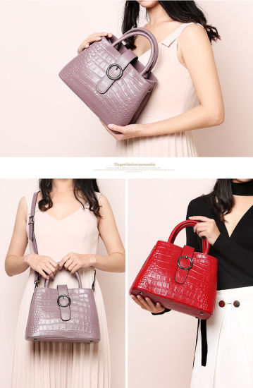 Women Fashionable Hot Sell Crossbody Handbag (WDL0118)