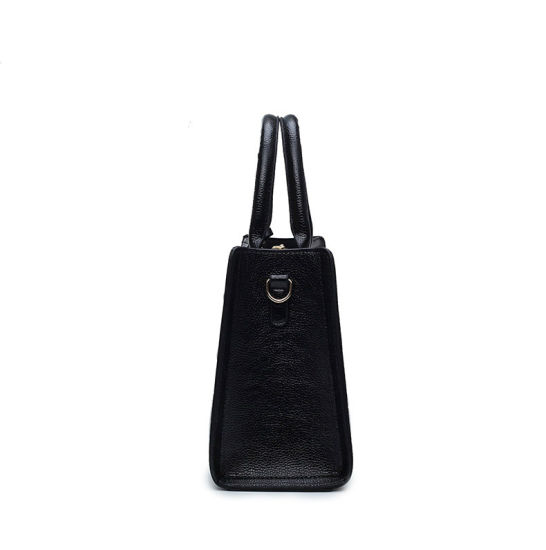 Classic Lady Handbag Fashion Tote Basic Lady Bag (WDL0847)