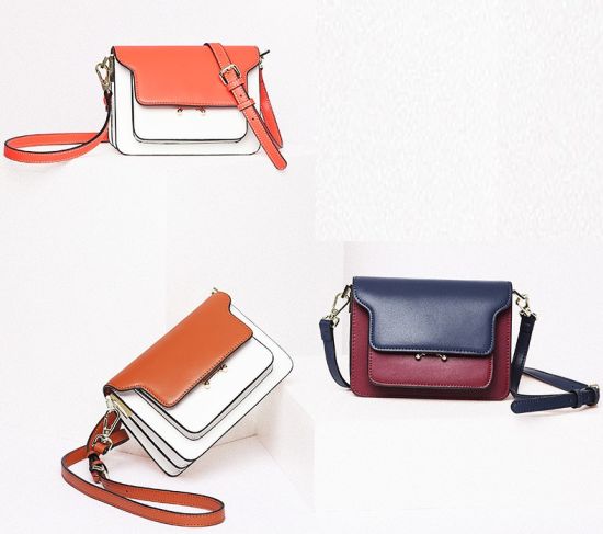 Fashion Flap Crossbody Lady Handbag Shouler Bag Women Handbag Ladies Handbag (WDL0224)