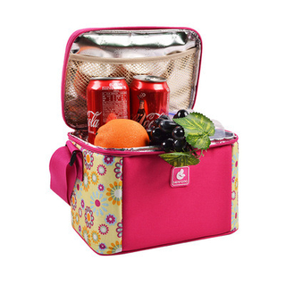 Cooler Bag Custom Cooler Bag Lunch Bag Promotional Bag Wine Bag Wine Coler Bag Picnic Bag Ice Bag Lunch Cooler Bag (WDL01196)