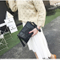 Hand Caught Fashion Lady Small Bag Fashion Classic Bag (WDL0205)