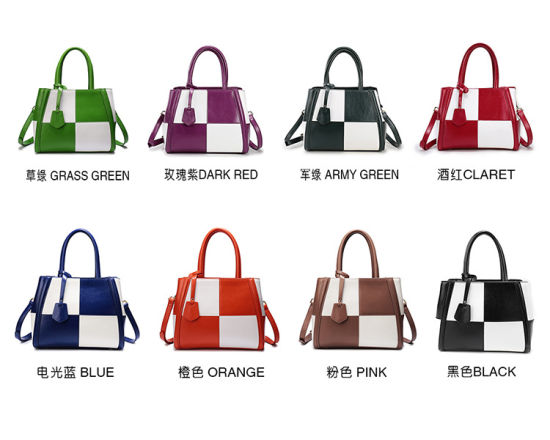 Fashion Women Handbags Designer Handbag Hand Bags Lady Hand Bag Popular Handbag Nice Women Bag (WDL01227)