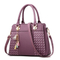 Handbags Popular Lady Handbag Ladies Handbag Fashion Bag PVC Handbag Leather Bag (WDL01198)