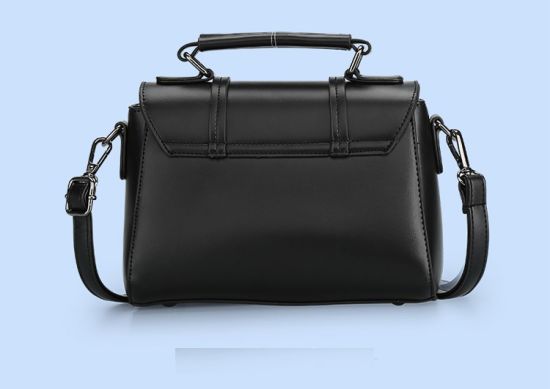 Fashion Lady Handbag Women Bag Ladies Bag (WDL0162)