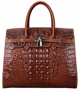 Handbags Lady Handbag Handbag Tote Bag Hand Bag Lady Handbags Designer Handbags Fashion Handbag Fashion Bags (WDL01481)