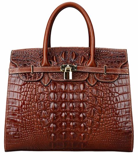 Handbags Lady Handbag Handbag Tote Bag Hand Bag Lady Handbags Designer Handbags Fashion Handbag Fashion Bags (WDL01481)